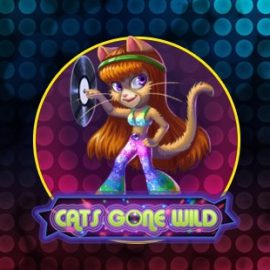 Online Cats Gone Wild spelen