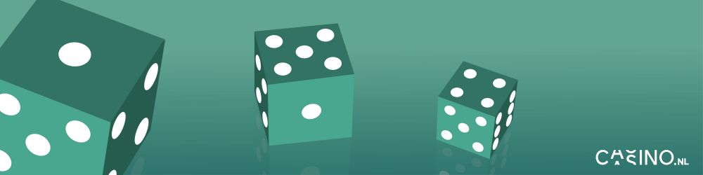 casino.nl winkansen