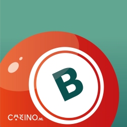 casino.nl bingo
