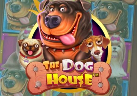The Dog House Spel Review