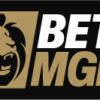 BetMGM Nederland